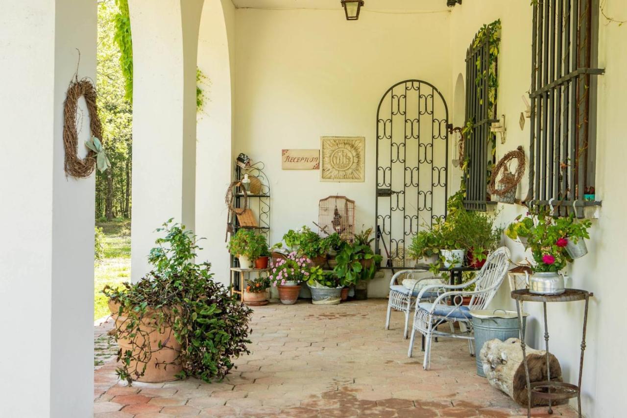 Albertina Bed & Breakfast