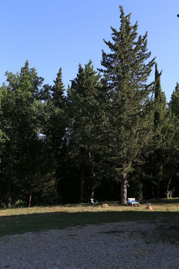 Albertina Bed & Breakfast